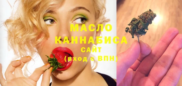 меф Ельня