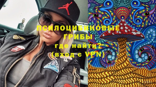 mdpv Елабуга