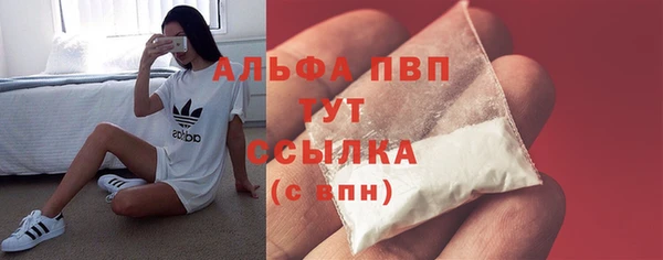меф Ельня