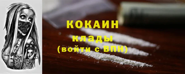 меф Ельня