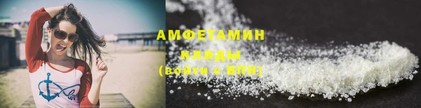 меф Ельня