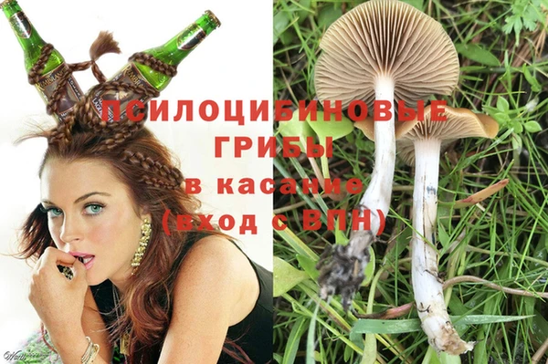 меф Ельня