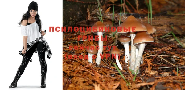 меф Ельня