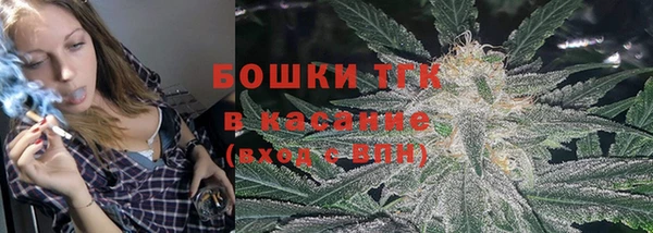 меф Ельня
