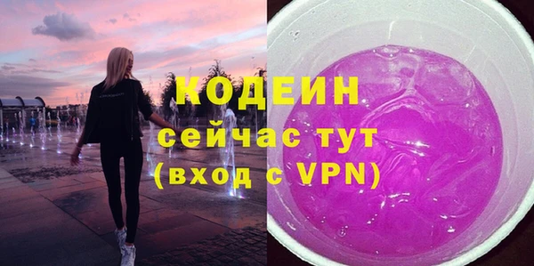 меф Ельня