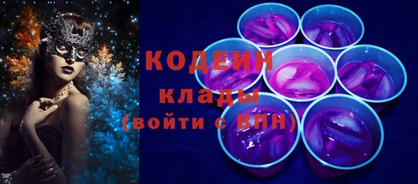 меф Ельня