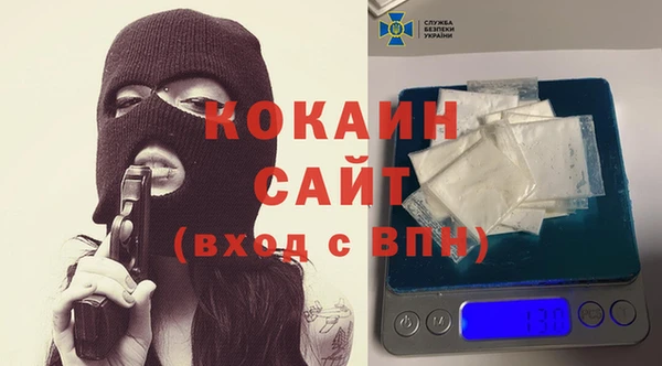 меф Ельня