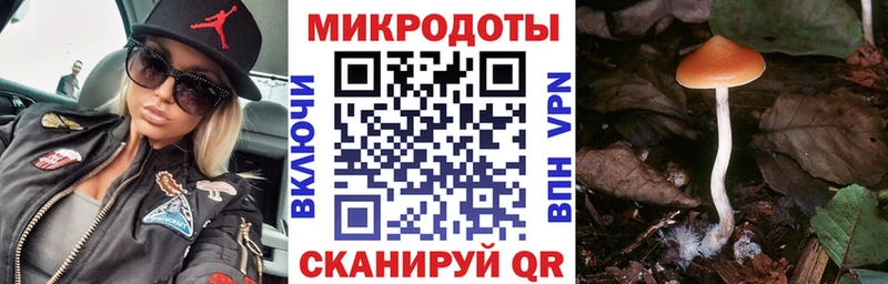 Галлюциногенные грибы мухоморы  закладки  Канск 